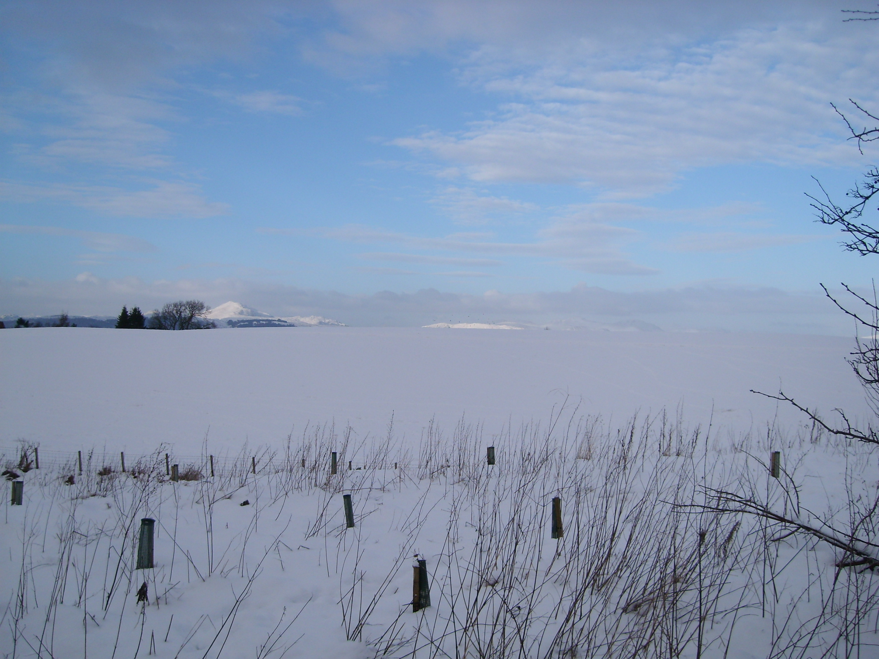 View of Ben ledi in Stirlingshire 